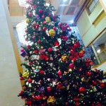 クリスマスツリー★